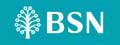 BSN Logo